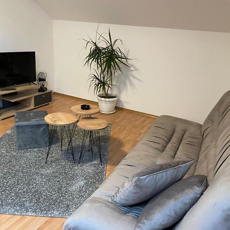 Despot Apartmani Mladenovac Exteriör bild